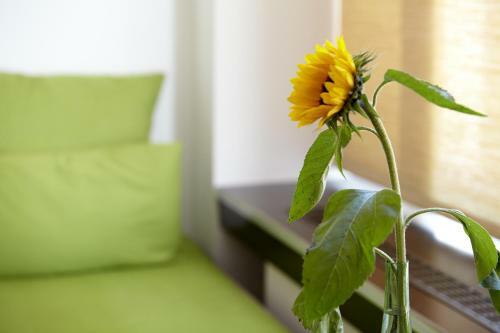 Hotel H�ttenpalast