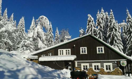 Hostal Penzion U Pir�ta