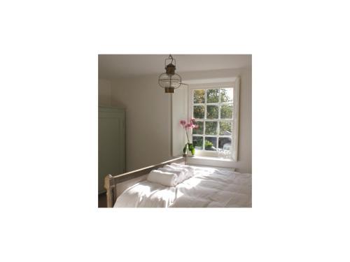 Villa Antonia's Pearls