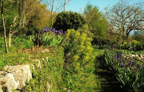 Holiday Home Villetta Mirossi Alba
