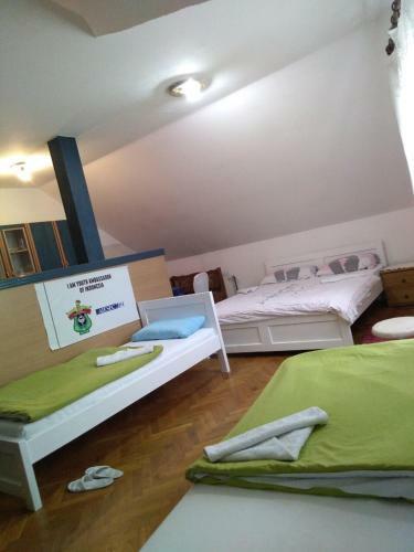 Hostel Lega House