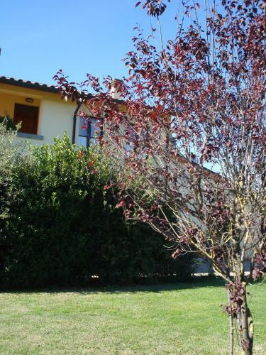 Apartamento Residence Serristori