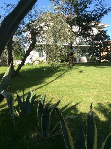 Bed & Breakfast La Veranda Sul Giardino