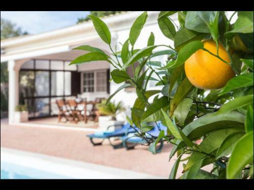 Villa Vilamar