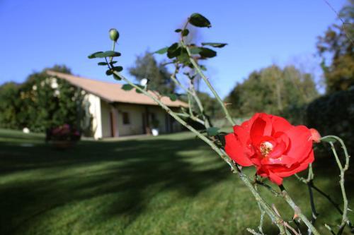 Apartamento Tiberina 381