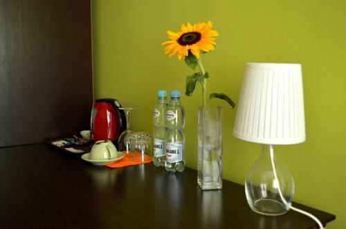 Hostel Kasztan