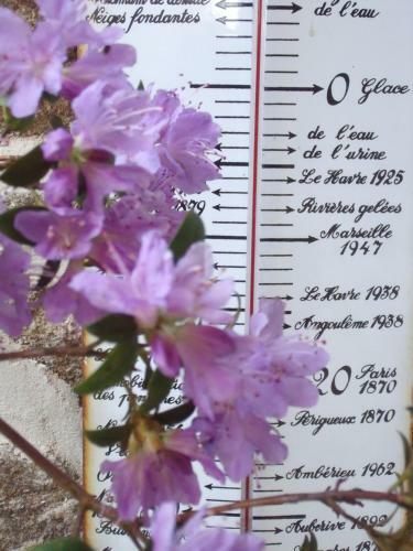 Bed & Breakfast Le Berceul