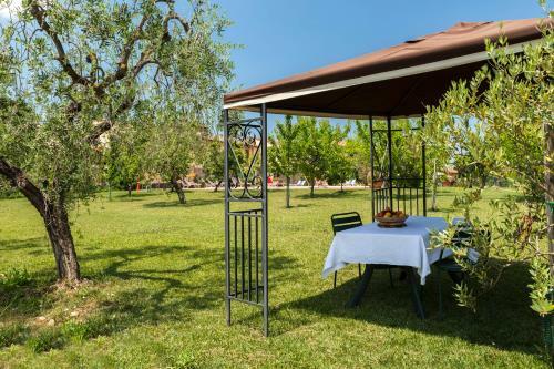 Agroturismo Il Torriano