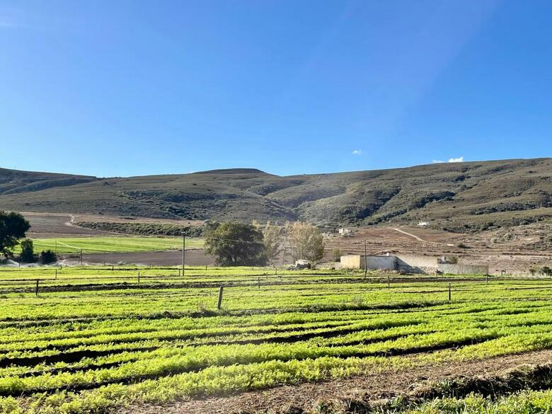 Agroturismo Blue Cow Barn - Boutique Farm