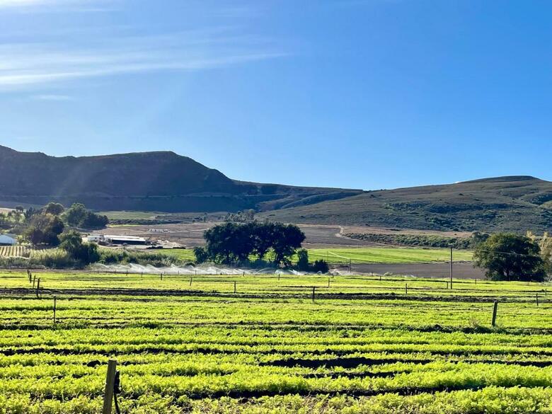 Agroturismo Blue Cow Barn - Boutique Farm