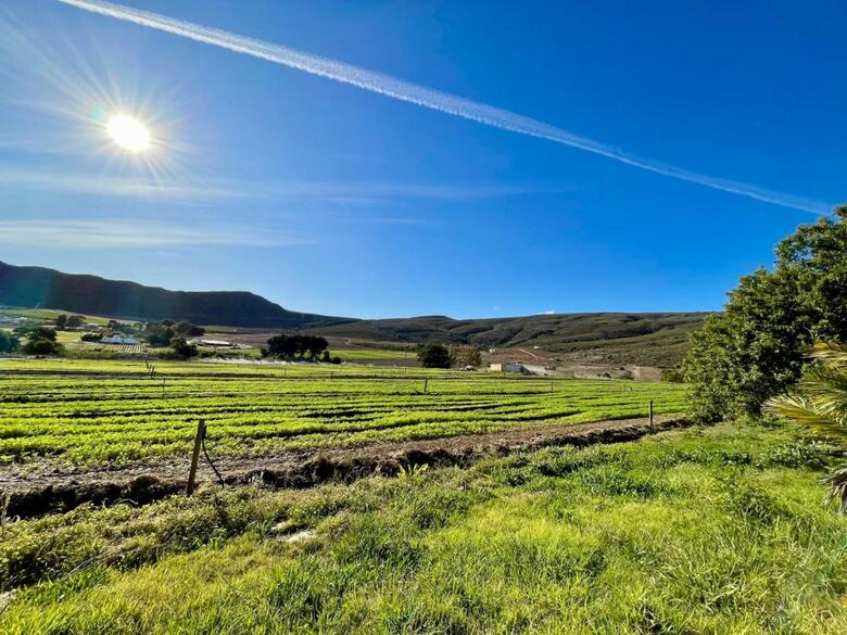 Agroturismo Blue Cow Barn - Boutique Farm