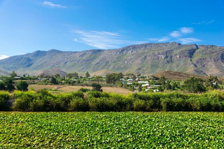 Agroturismo Blue Cow Barn - Boutique Farm