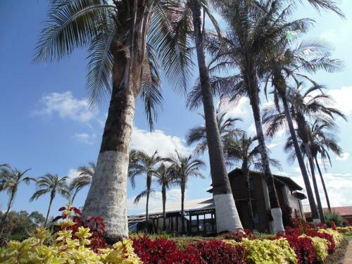 Hotel Hoster�a Rosa Blanca
