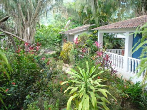 Hotel Amanwana Ecofinca