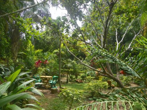 Hotel Amanwana Ecofinca