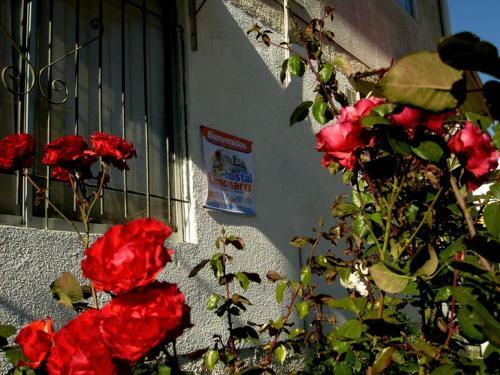 Hostal Limonares