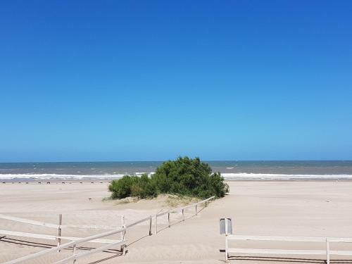 Apart En La Playa