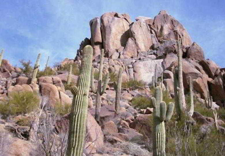 Hotel Residence Inn Scottsdale Paradise Valley