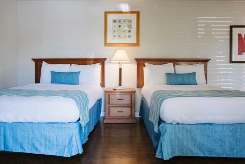 Hotel Alamo Inn And Suites - Convention Center