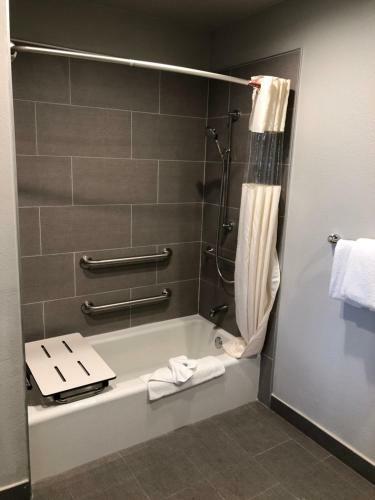 Hotel Alamo Inn And Suites - Convention Center