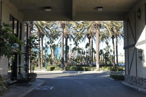 Hotel Alamo Inn And Suites - Convention Center