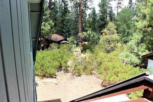Summit Paradise #845