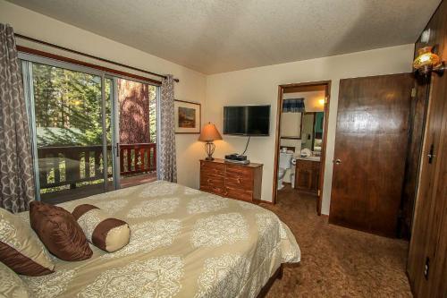 Cedar Pines #1529