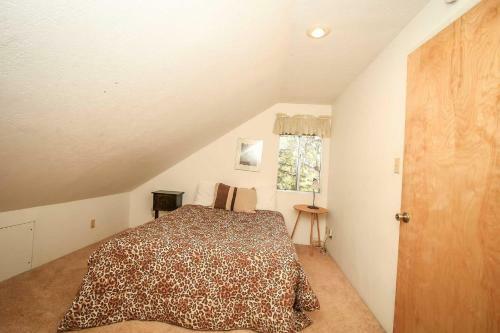 Bear View #1425
