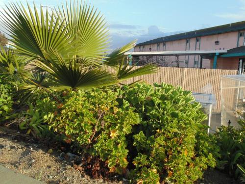 Hotel Inns Of California Salinas