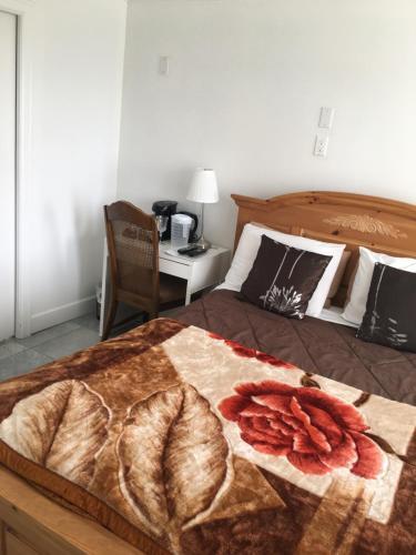 Hostal White House Bed And Breakfast