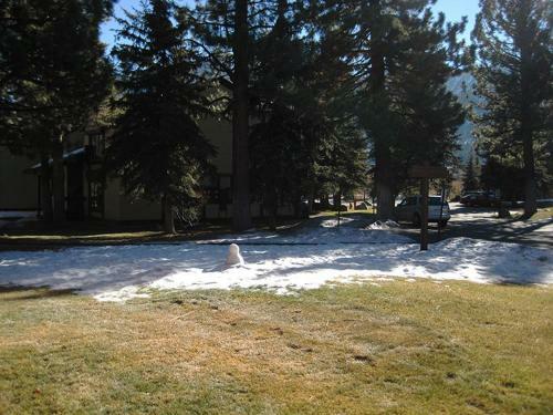 Apartamento Snowcreek 44