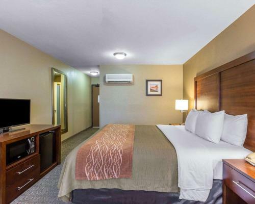 Hotel Comfort Inn & Suites Ventura Beach