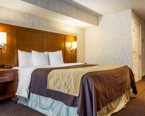 Hotel Comfort Inn Watsonville