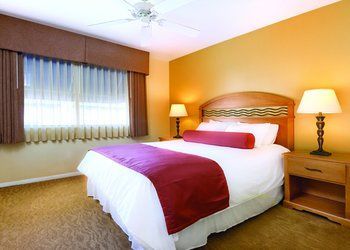Hotel Dolphins Cove Resort