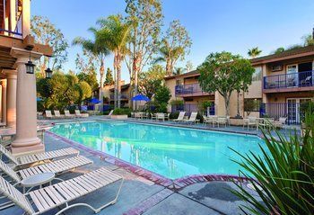 Hotel Dolphins Cove Resort
