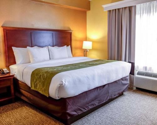 Hotel Comfort Suites Ocala North