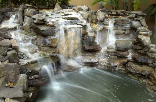 Hotel Courtyard Tampa Oldsmar