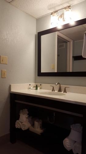 Hotel Dolphin Beach Resort