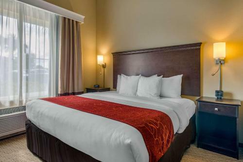 Hotel Comfort Suites Sarasota-siesta Key