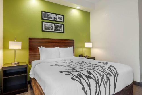 Hotel Sleep Inn Wesley Chapel