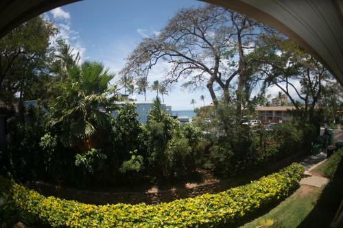 Aparthotel Maui Vista