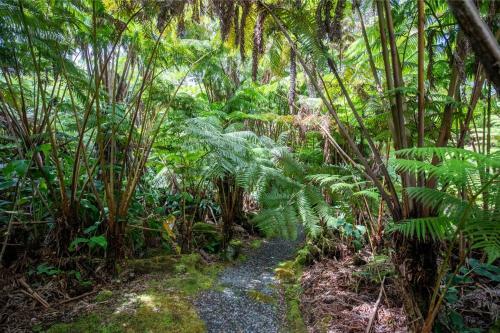 Alas Del Kealoha By Hawaii Volcano Vacations