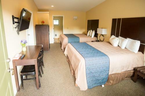 Hotel Aura Soma Lava