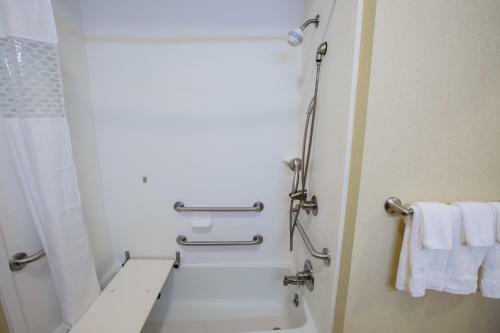 Hotel Hampton Inn & Suites Effingham