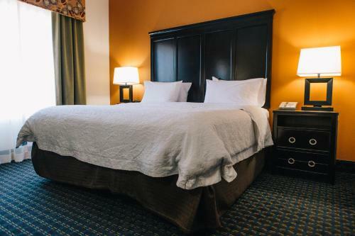 Hotel Hampton Inn & Suites Effingham