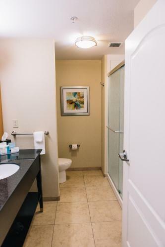 Hotel Hampton Inn & Suites Effingham