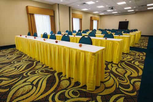 Hotel Hampton Inn & Suites Effingham