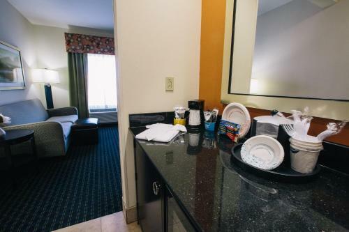 Hotel Hampton Inn & Suites Effingham