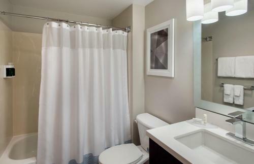 Hotel Towneplace Suites Chicago Lombard