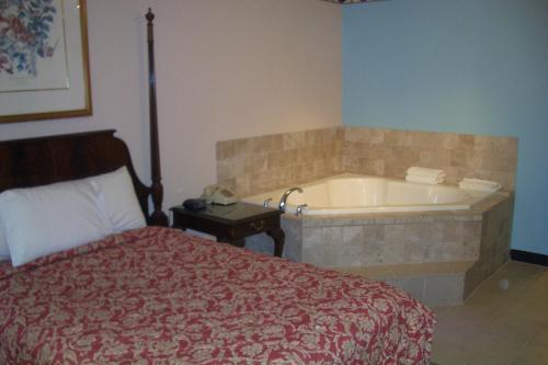 Motel Regency Inn Of Naperville
